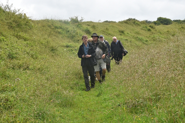 10 07 16_8954.JPG - BADBURY RINGS HILL FORT, DORSET - 10.7.16